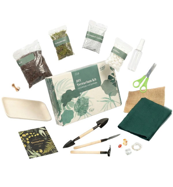 Terrarium Making Class in Texas