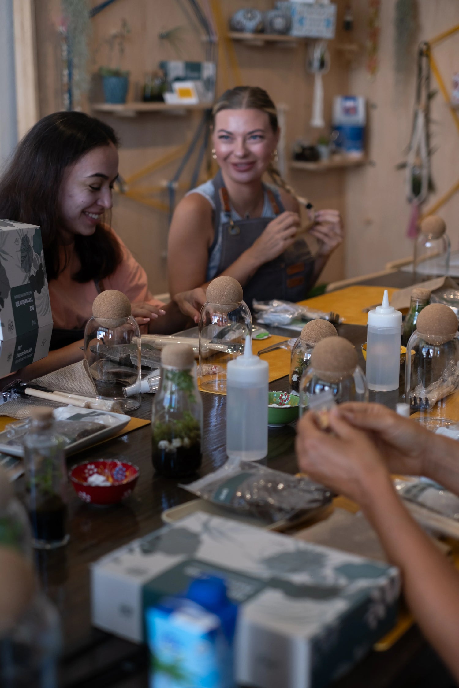 The Signature Terrarium