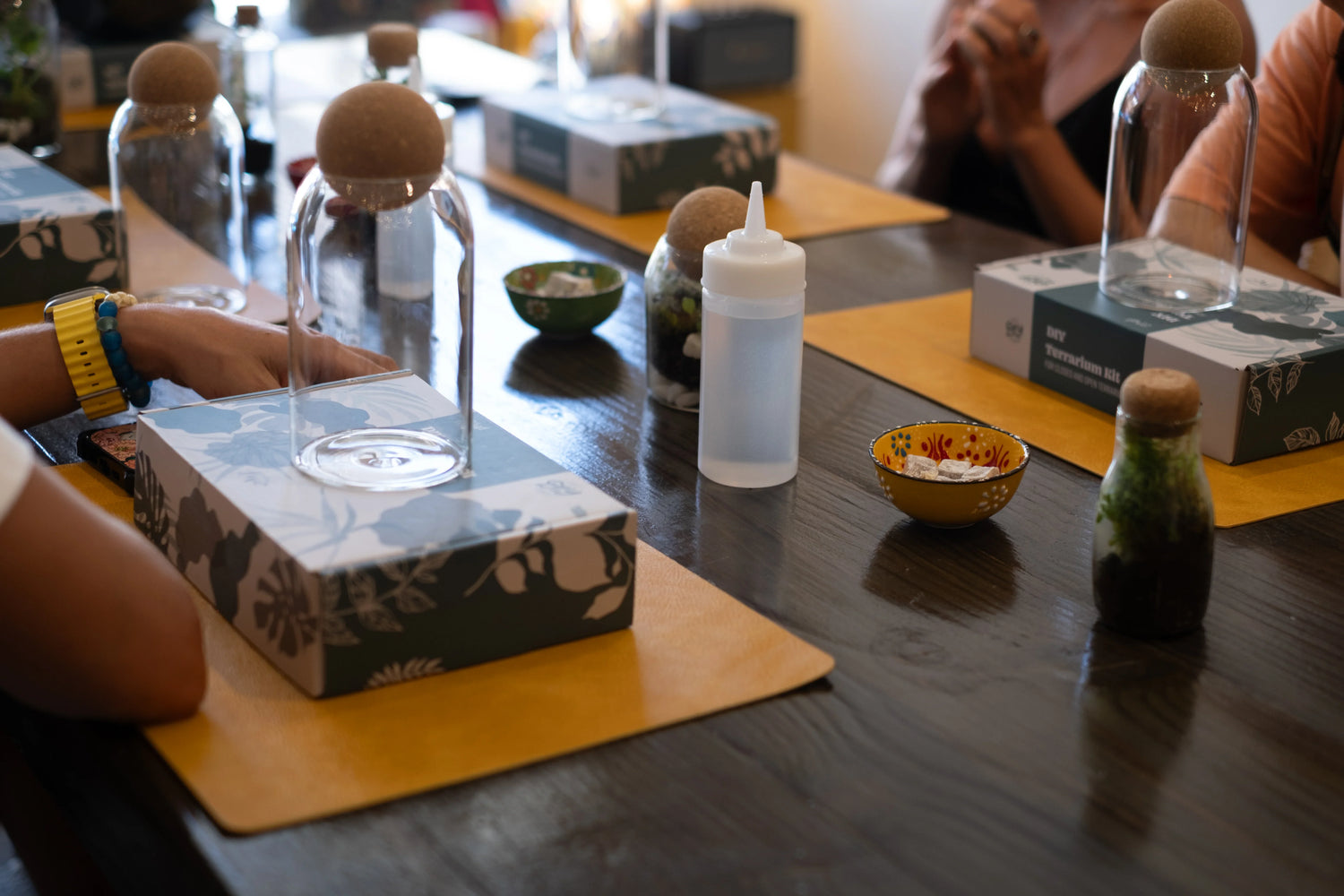 The Signature Terrarium