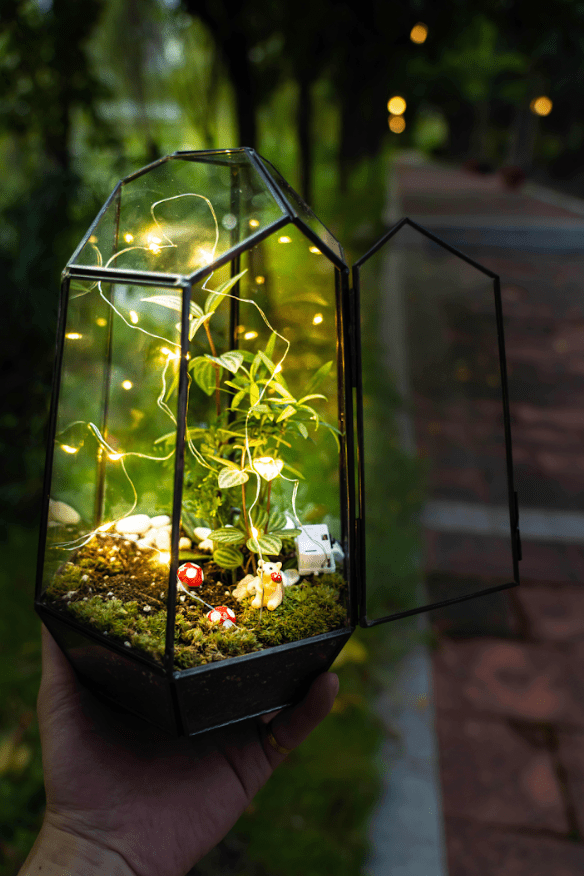 The Signature Terrarium