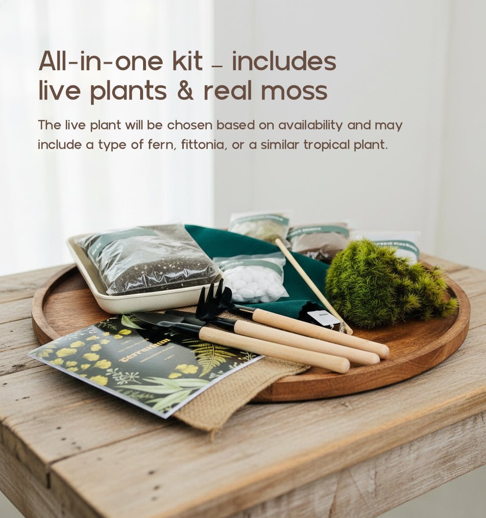 The Signature Terrarium