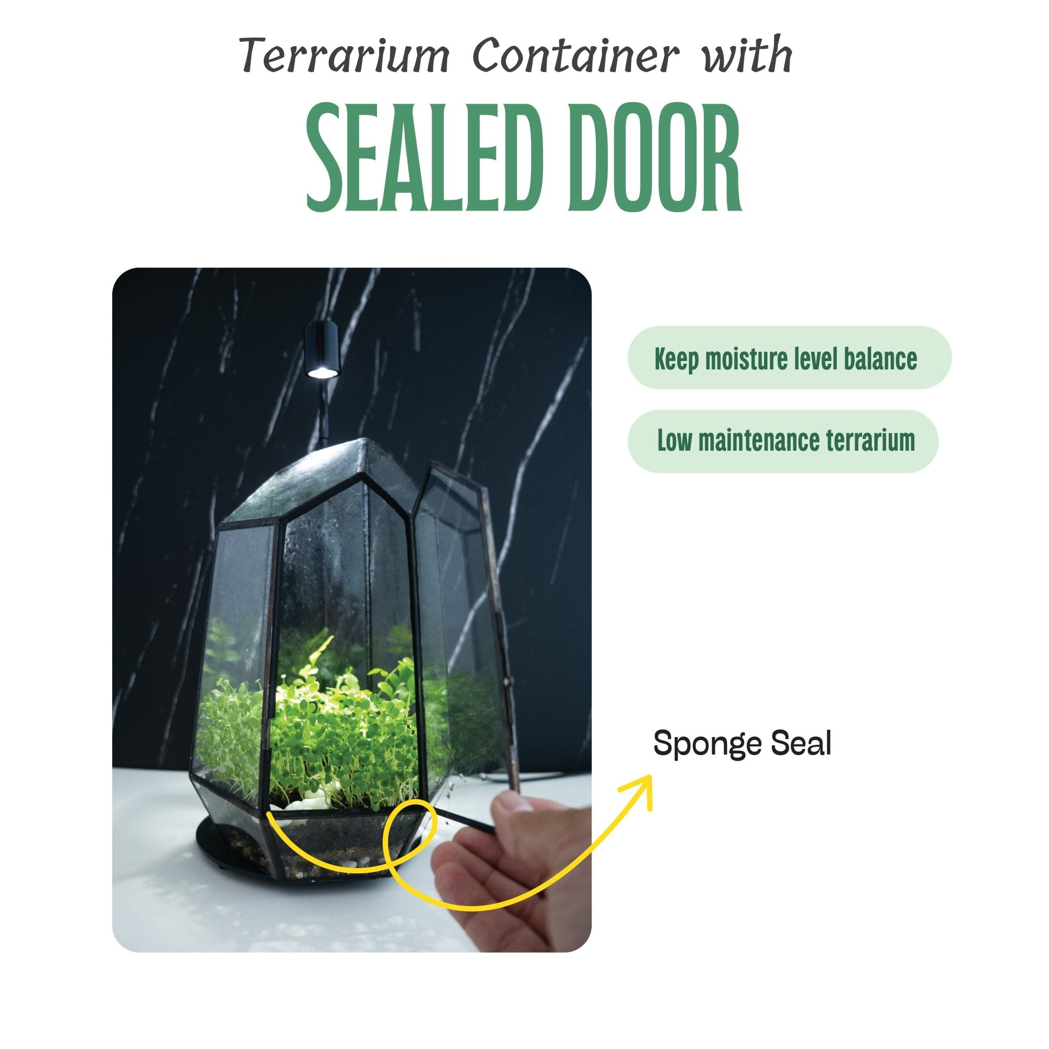 Large airtight terrarium container with sealed door for low-maintenance plant environments.