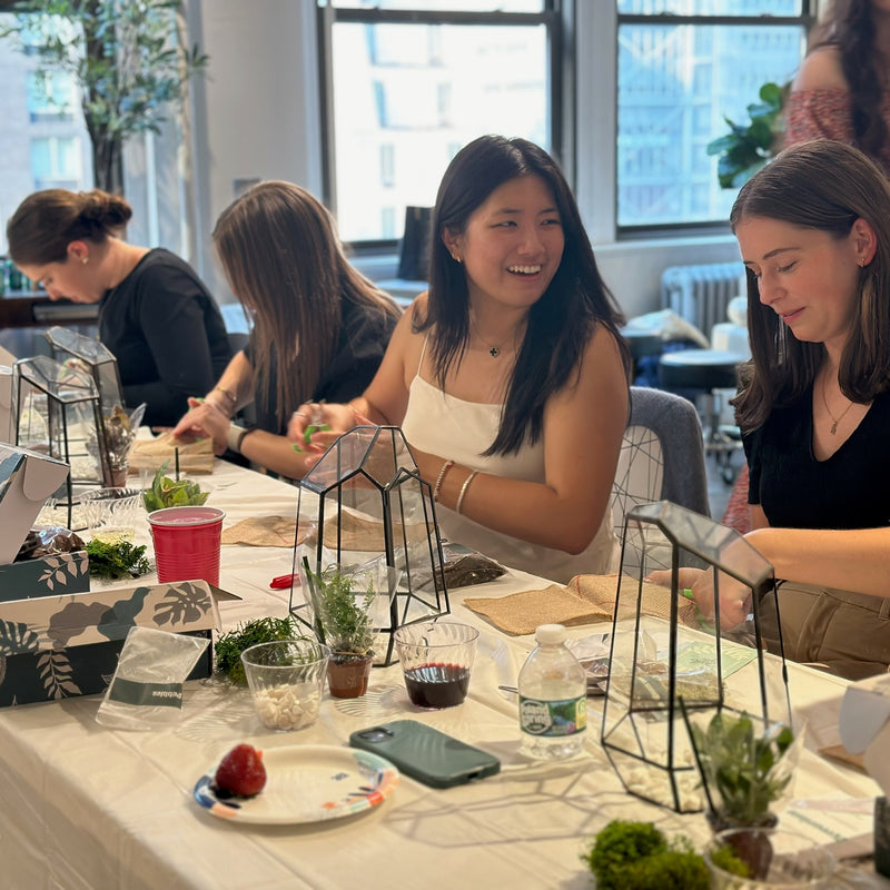 Wine & Terrarium Making Night