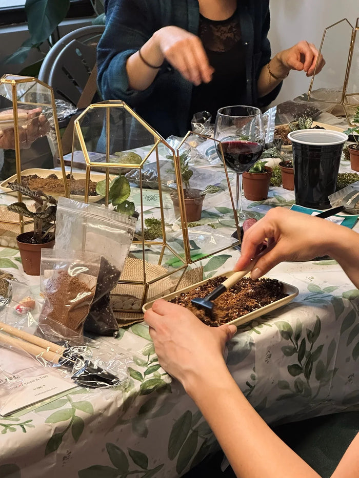 Arts & Craft Class NYC, birthday activity, date idea, team building New York, Wine & Terrarium Making Night - KraftStories