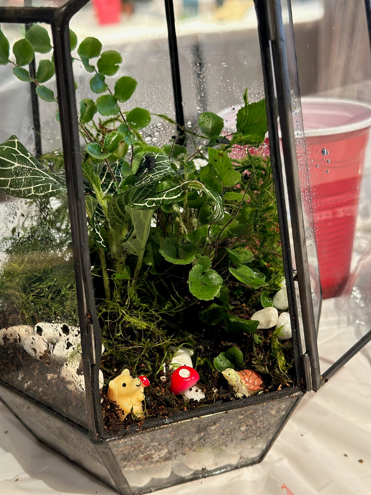 Virtual team building event, corporate event, Plant workshop, Wardian Case Terrarium Workshop - KraftStories