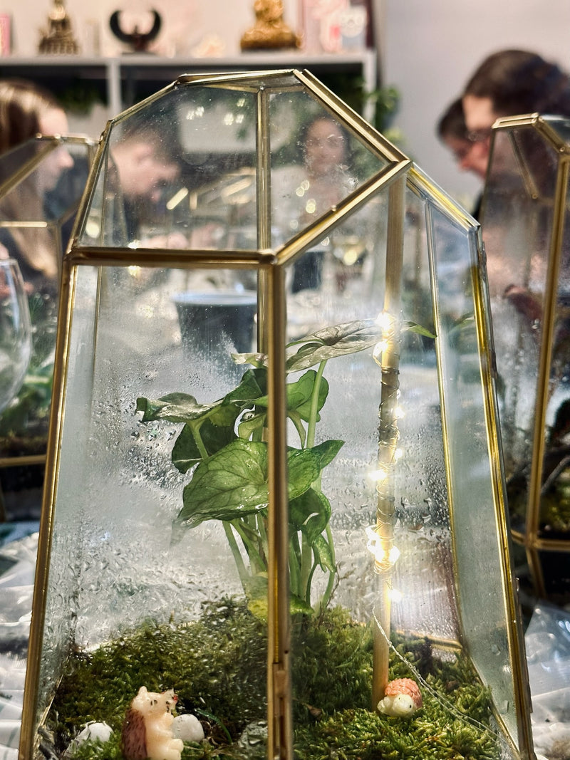 Terrarium in NYC