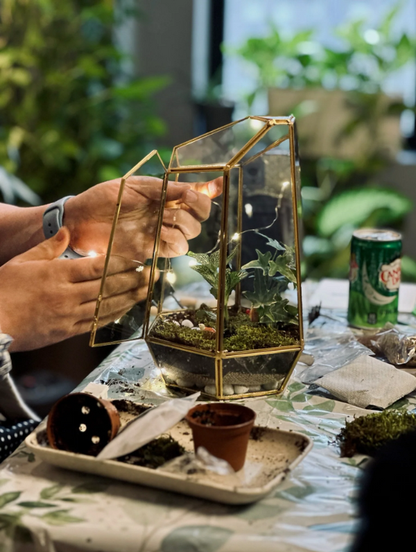 Terrarium care
