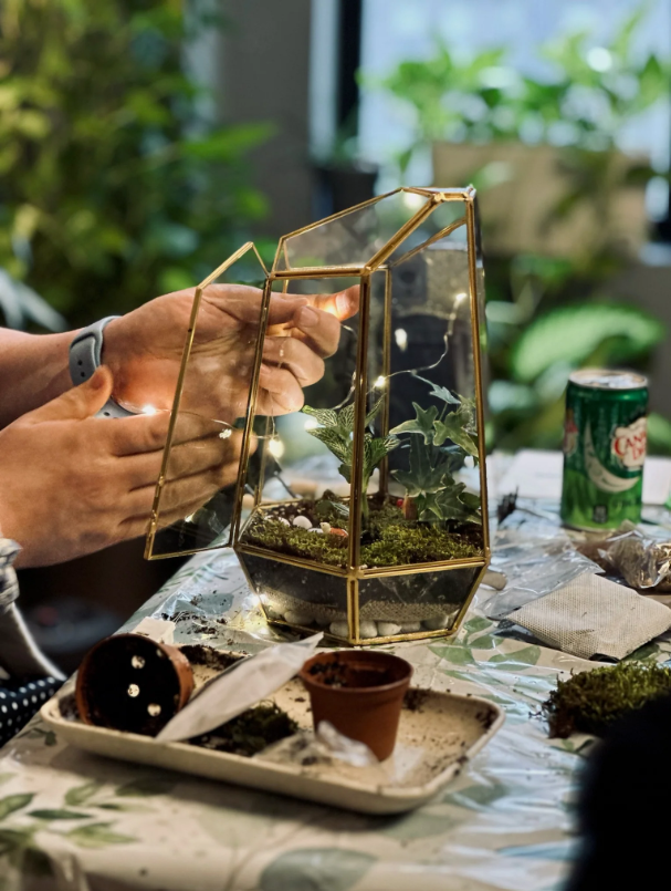 Terrarium Wardian Hands carefully placing plants inside a glass terrarium during a guided build process