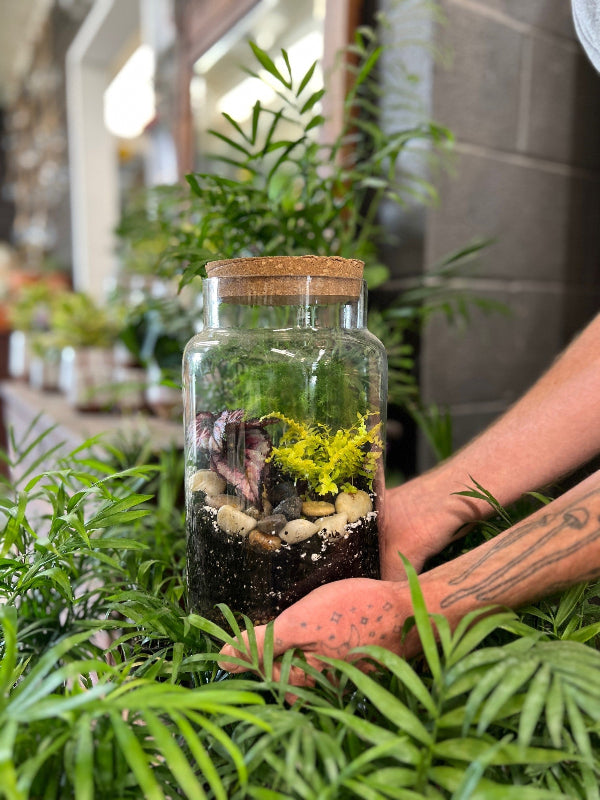 Terrarium Workshop 