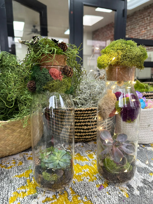 The Signature Terrarium hover