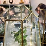 participant's terrarium after a terrarium workshop