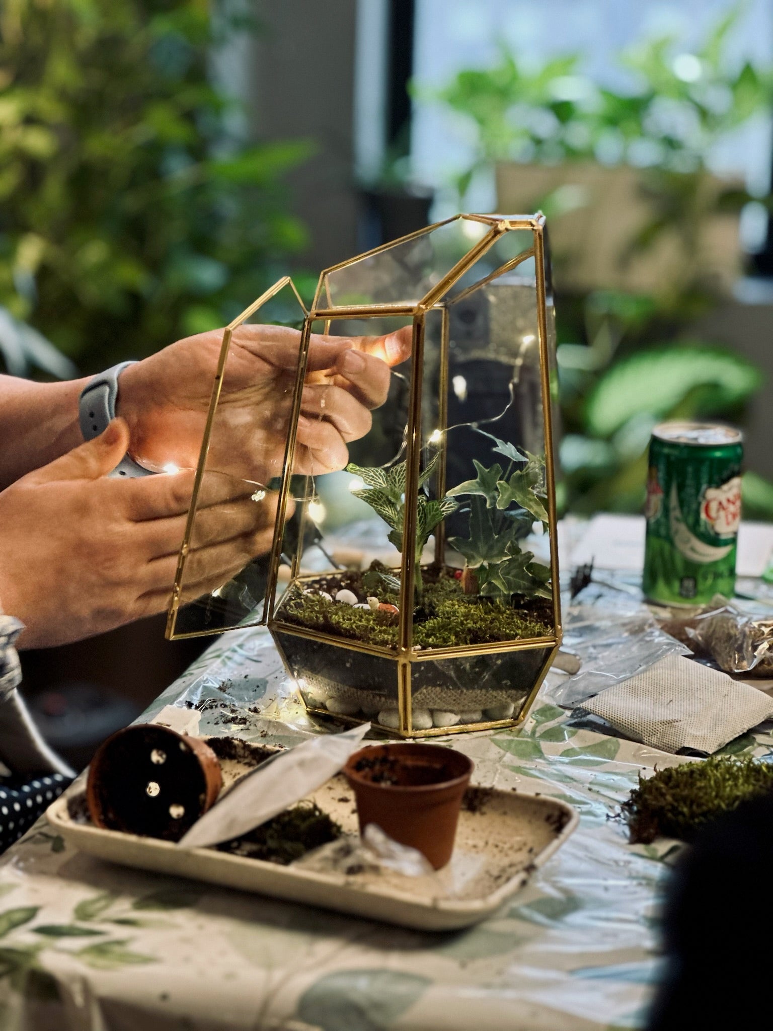 A geometric glass terrarium container filled with lush, green plants and decorative elements, showcasing a hands-on craft project , Best Selling Craft Kits,Closed Terrarium Kits,Employee Appreciation Gifts,Plant Lover Gifts,Corporate Branded Gifts,Gifts for Grandma,Craft Kits for Adults.