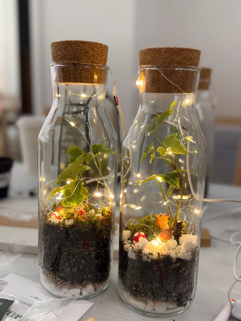 The Signature Terrarium Workshop