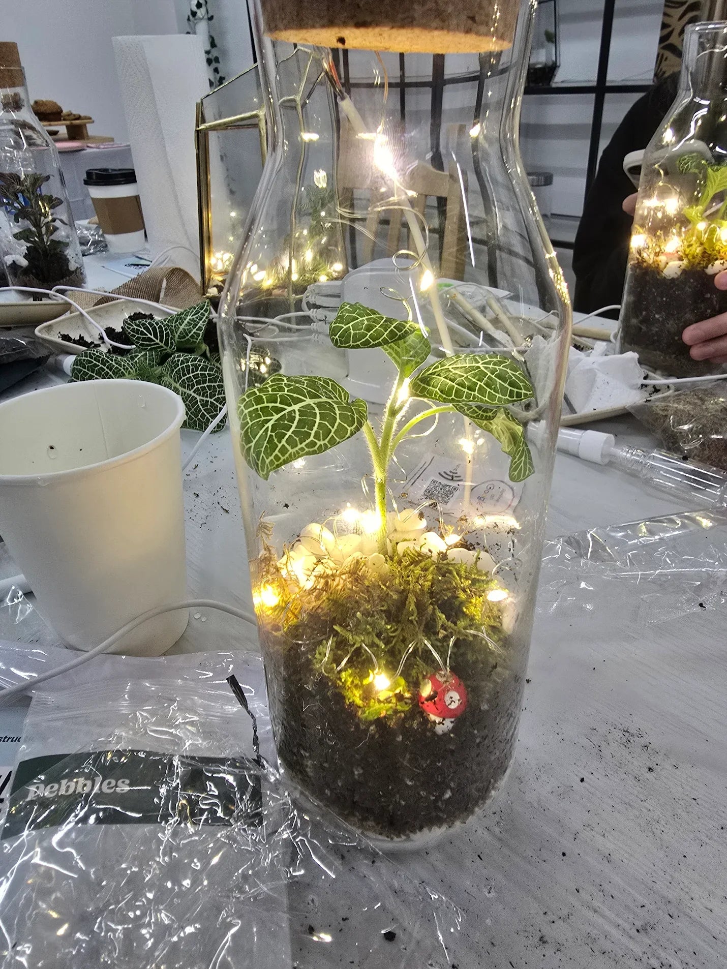 Building a layered closed terrarium