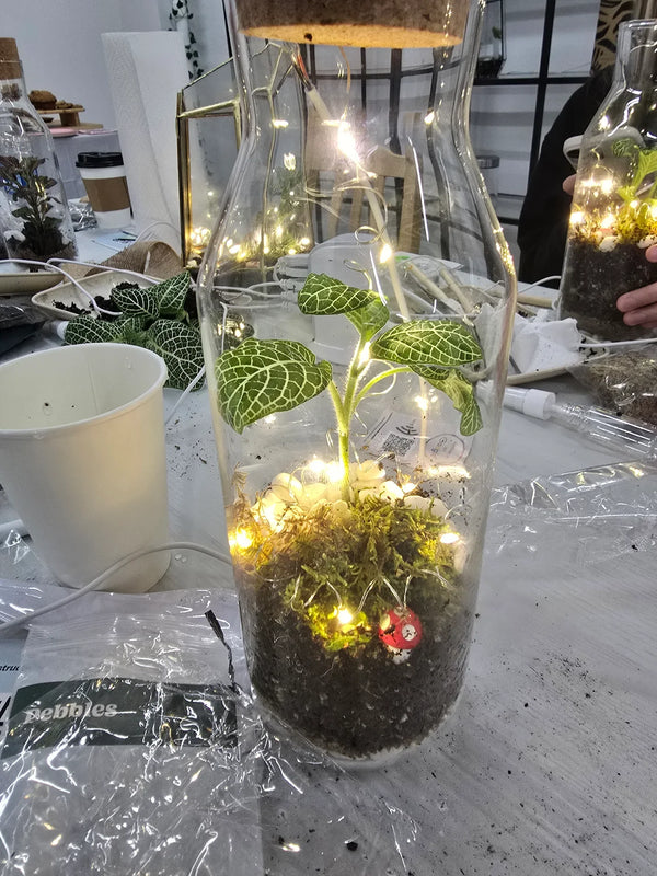 The Signature Terrarium Workshop