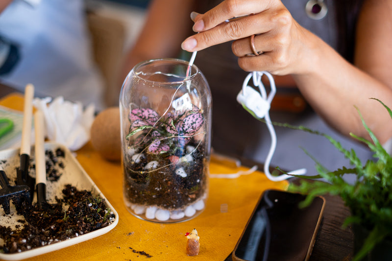 Arts & Craft Class New York, birthday, date idea, team building NYC, Self-Sustaining Terrarium Workshop - KraftStories