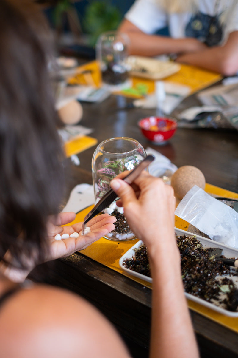 Arts & Craft Class New York, birthday, date idea, team building NYC, Self-Sustaining Terrarium Workshop - KraftStories