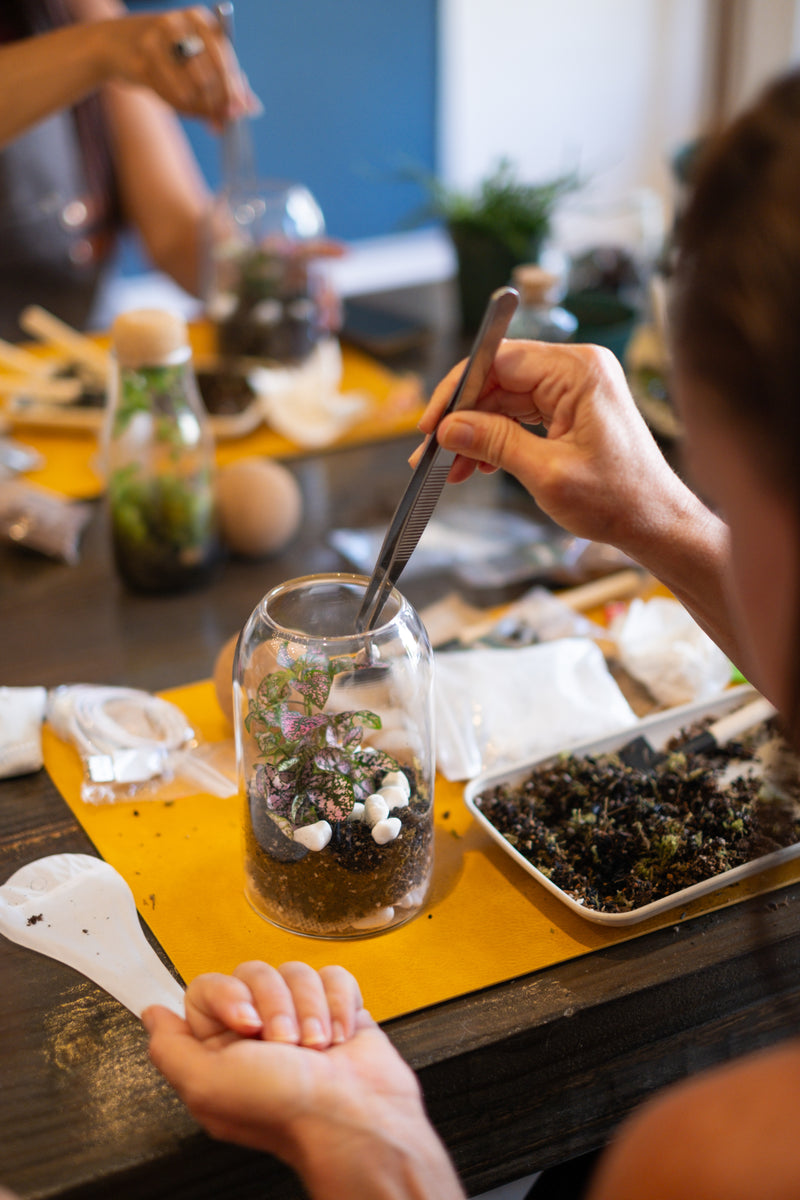 Arts and Craft Classes Irvine, Date Idea Irvine, Team Building activity in Irvine, Terrarium Workshop in Irvine