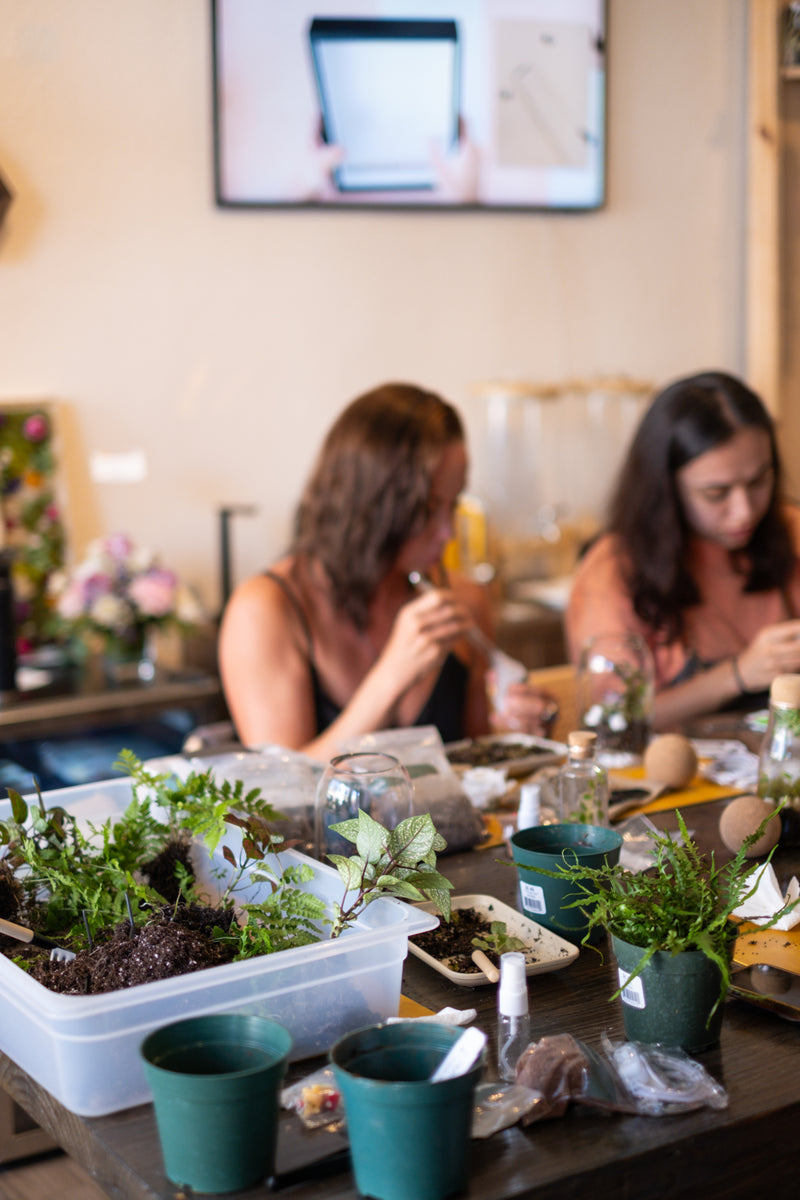 Arts & Craft Class New York, birthday, date idea, team building NYC, Self-Sustaining Terrarium Workshop - KraftStories