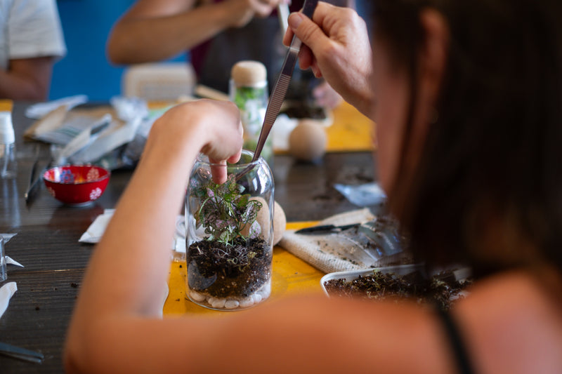 Arts and Craft Classes Irvine, Date Idea Irvine, Team Building activity in Irvine, Terrarium Workshop in Irvine