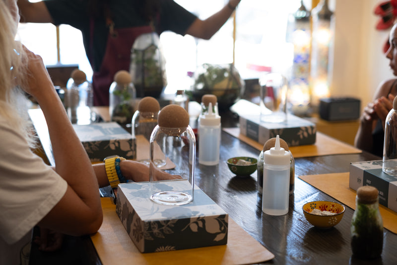 Arts & Craft Class New York, birthday, date idea, team building NYC, Self-Sustaining Terrarium Workshop - KraftStories