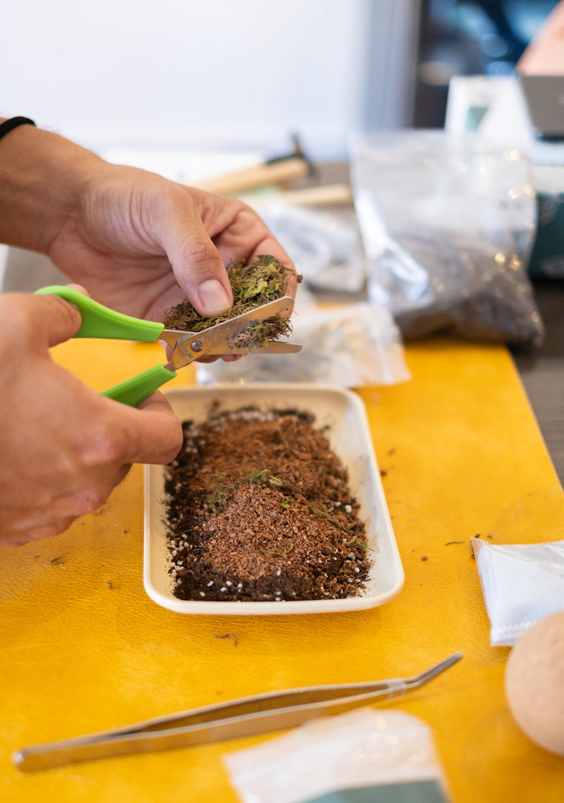 Arts & Craft Class New York, birthday, date idea, team building NYC, Self-Sustaining Terrarium Workshop - KraftStories