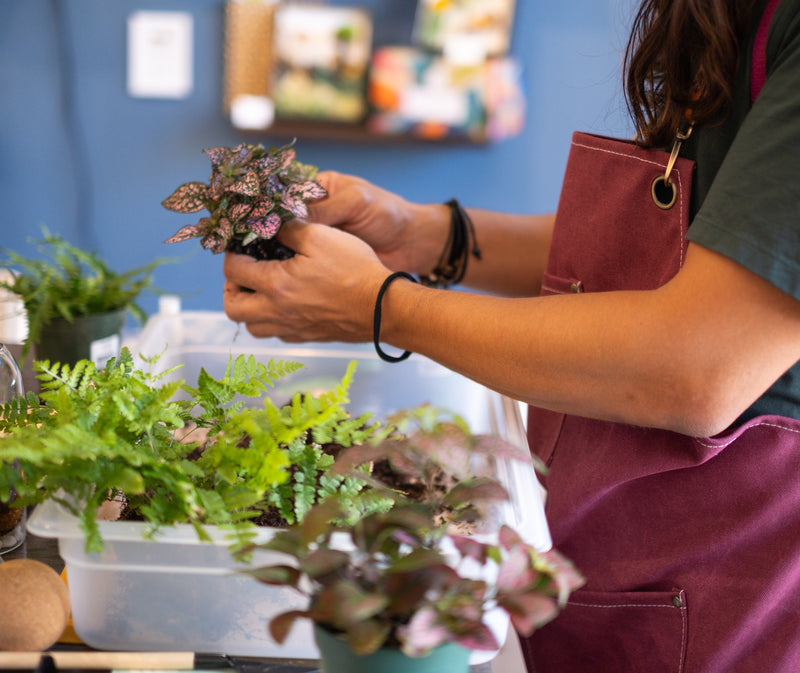 Arts & Craft Class Honolulu, birthday party activity, date, team building, Build a Self-Sustaining Terrarium - KraftStories