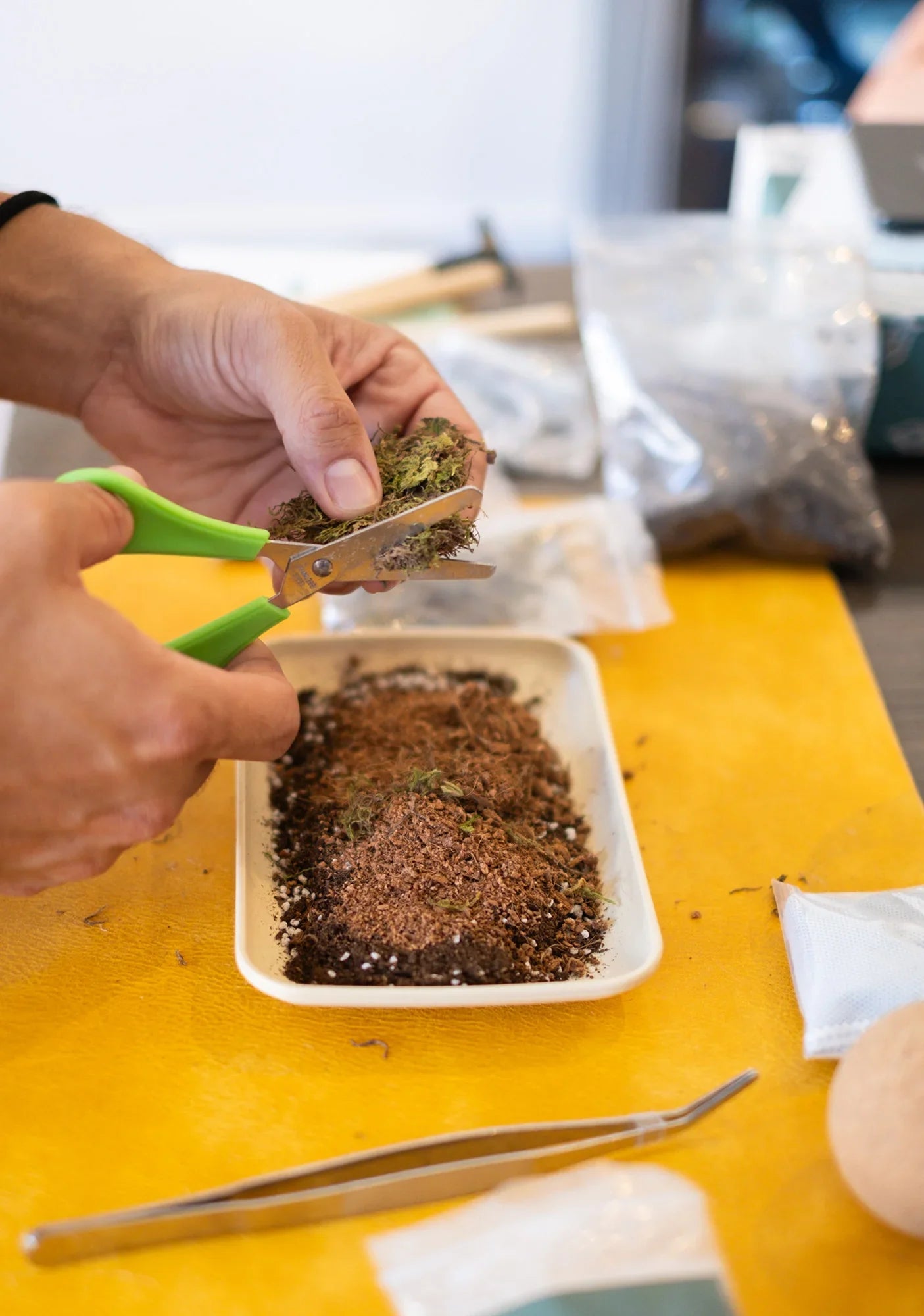 Arts & Craft Class Honolulu, birthday party activity, date, team building, Build a Self-Sustaining Terrarium - KraftStories