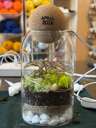 Terrarium Workshop in Los Angeles - KraftStories