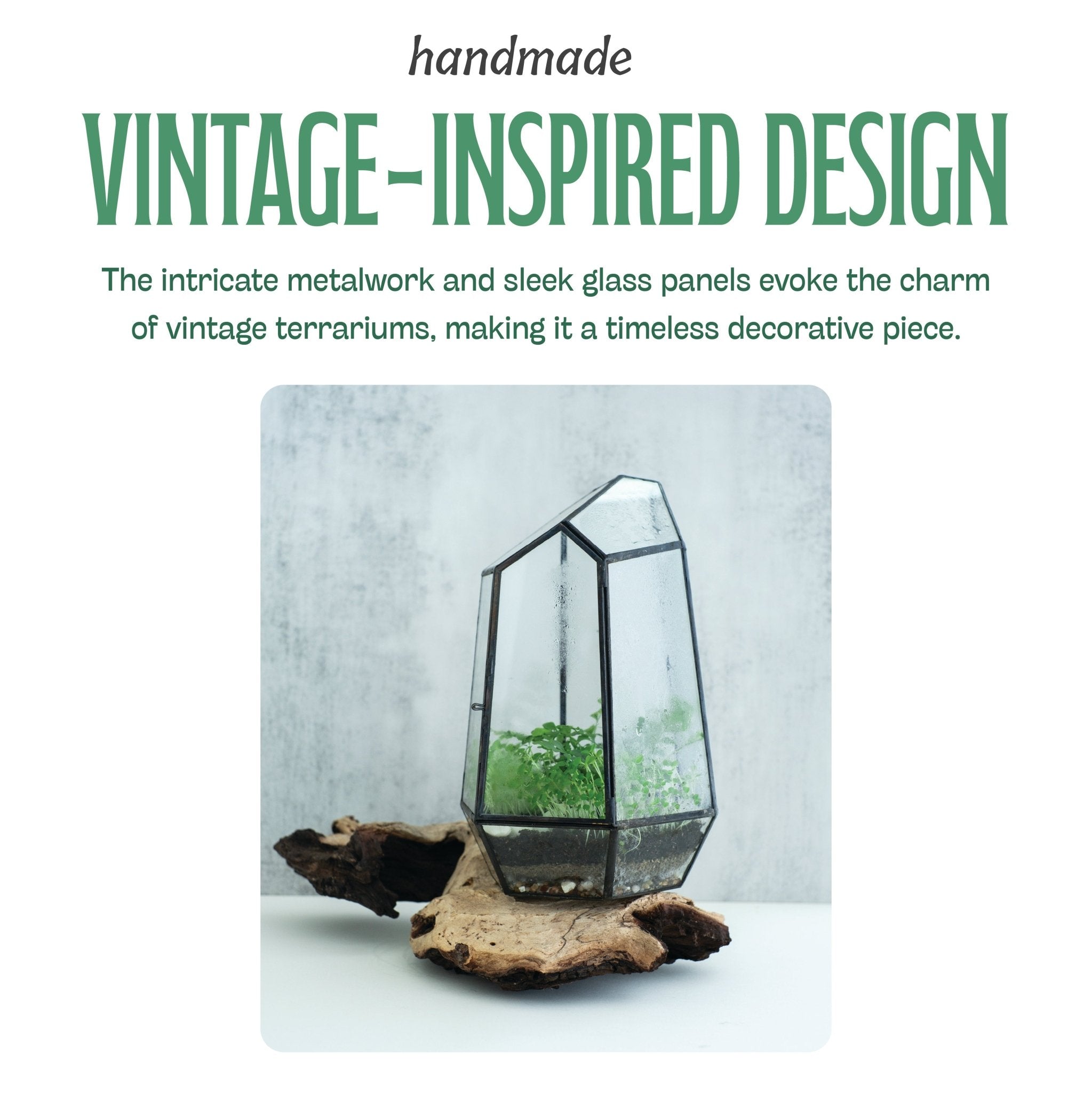 Handmade vintage-inspired glass terrarium container with sleek metalwork design, perfect for creating closed terrariums with tropical plants.