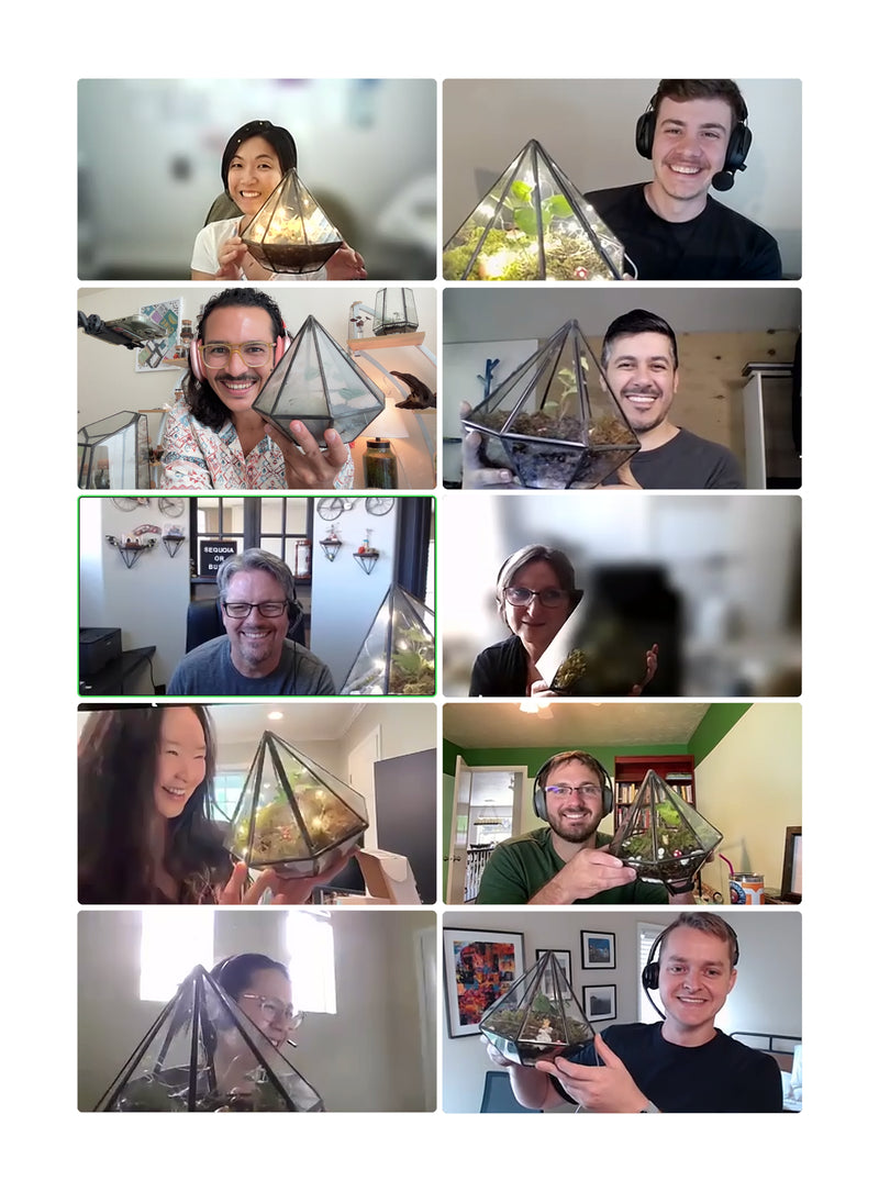 virtual terrarium workshop screenshot