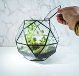 A hand gently lifts the lid of a geometric glass terrarium, revealing vibrant green plants and lush moss nestled inside. The scene is set against an elegant white marble-patterned background.