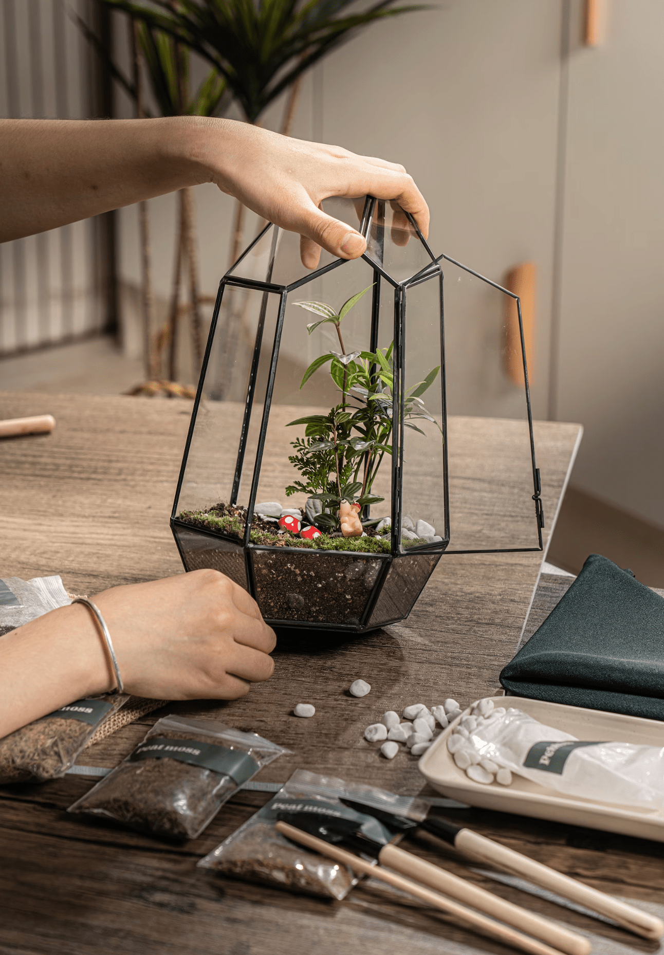 Virtual team building event, corporate event, Plant workshop, Wardian Case Terrarium Workshop - KraftStories