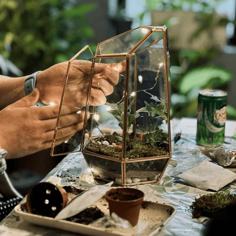 Sip & Make a Terrarium