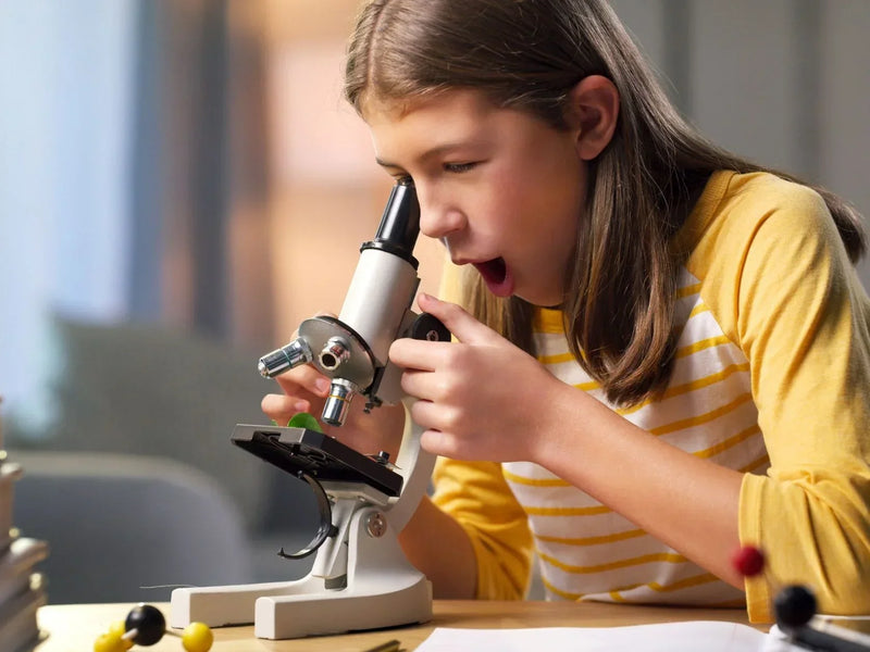 Novelty makes memories stick