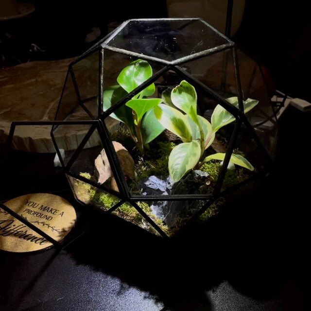 Arts & Craft Class, birthday party activity, private craft, date, Make a Terrarium in a Sphere Geometric Jar - KraftStories