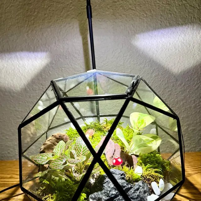 Bioactive Terrarium Workshop