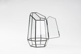 Sleek contemporary geometric glass terrarium by KraftStories, featuring an airtight Wardian case design for creating lush closed ecosystems.