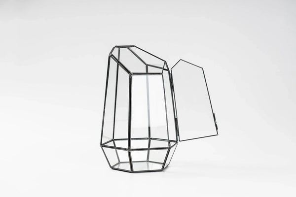 Bulk Set of 8 - Wholesale Large Airtight Wardian Case Terrariums hover