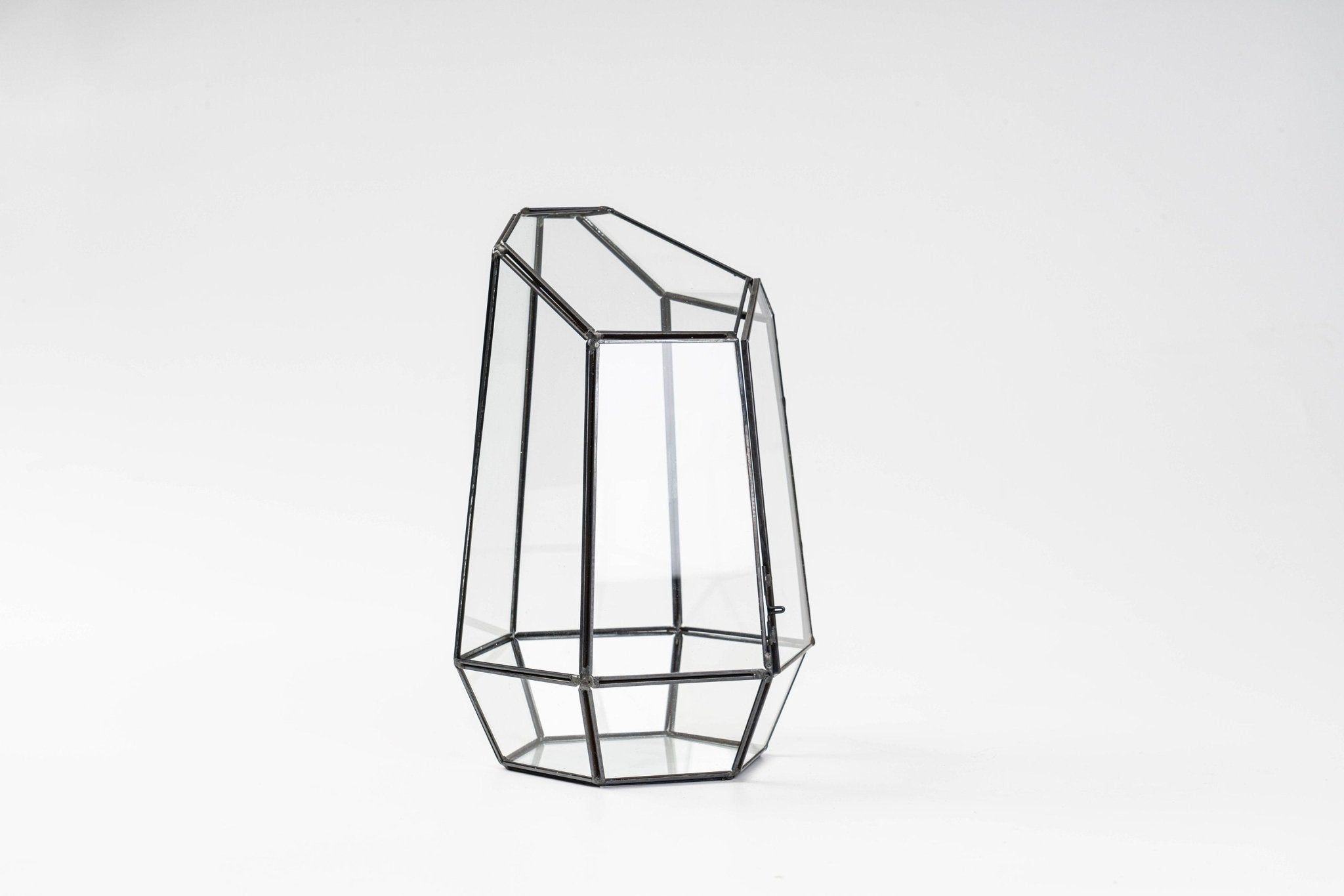 Airtight Wardian Case terrarium container by KraftStories, featuring a sleek, contemporary geometric design for creating closed terrariums with tropical plant selections.