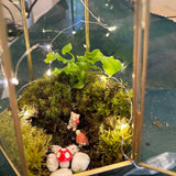 terrarium with lights from a virtual workshop