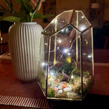 terrarium with lights from a virtual workshop