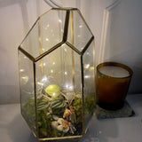 terrarium with lights from a virtual workshop