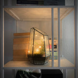 terrarium with lights