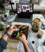 Bioactive Terrarium Workshop