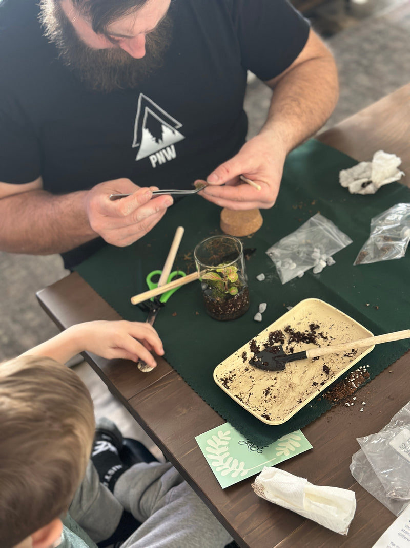 Self Sustaining Terrarium Workshop