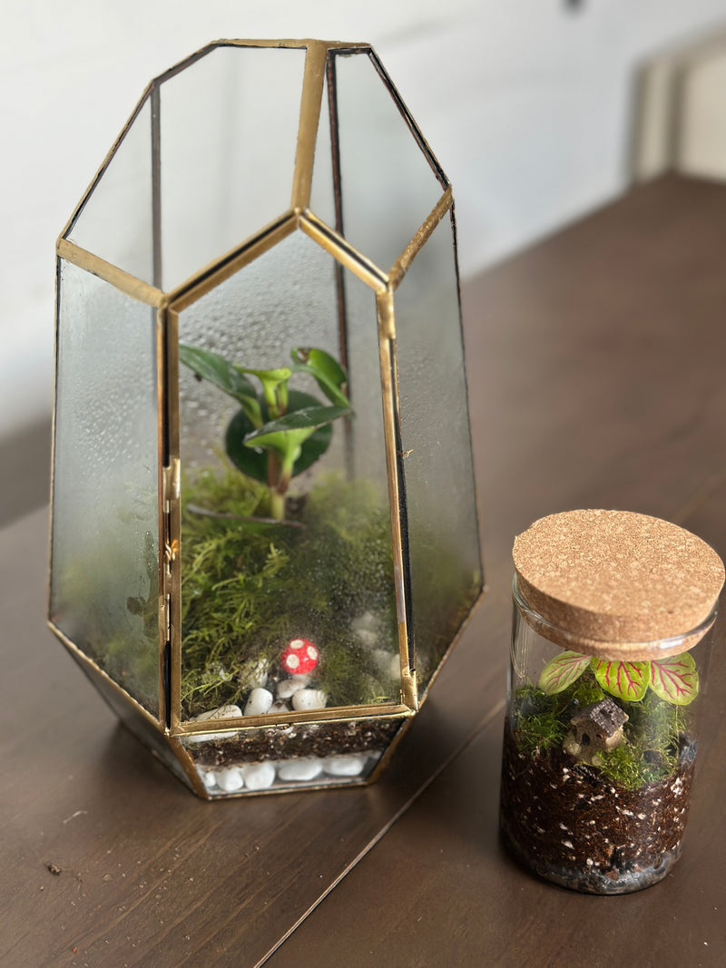 Self Sustaining Terrarium Workshop