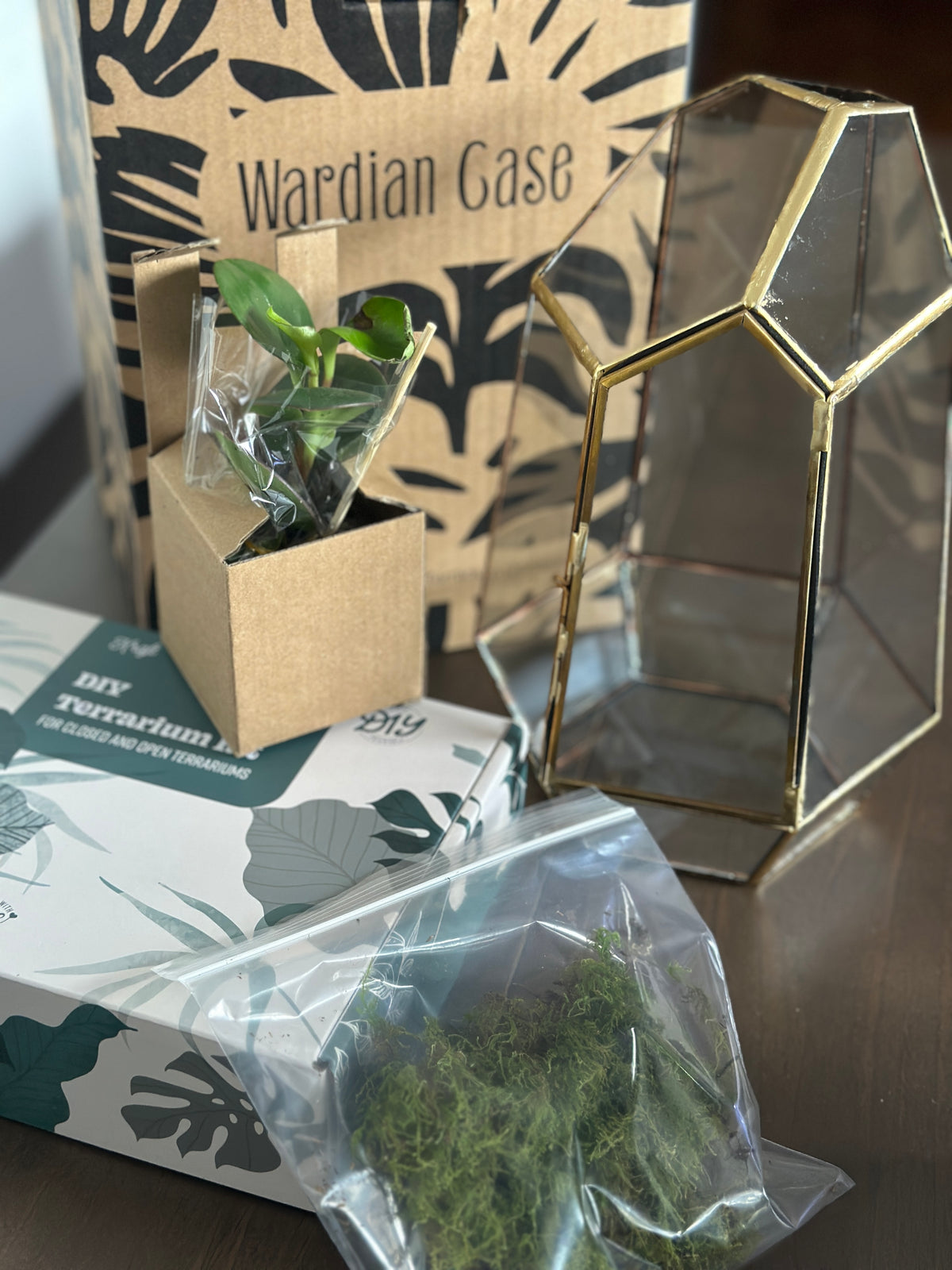 Receive Your Wardian Case Kit
