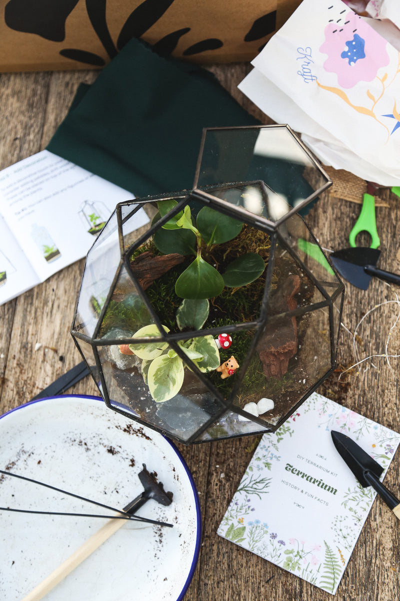 Self Sustaining Terrarium Workshop