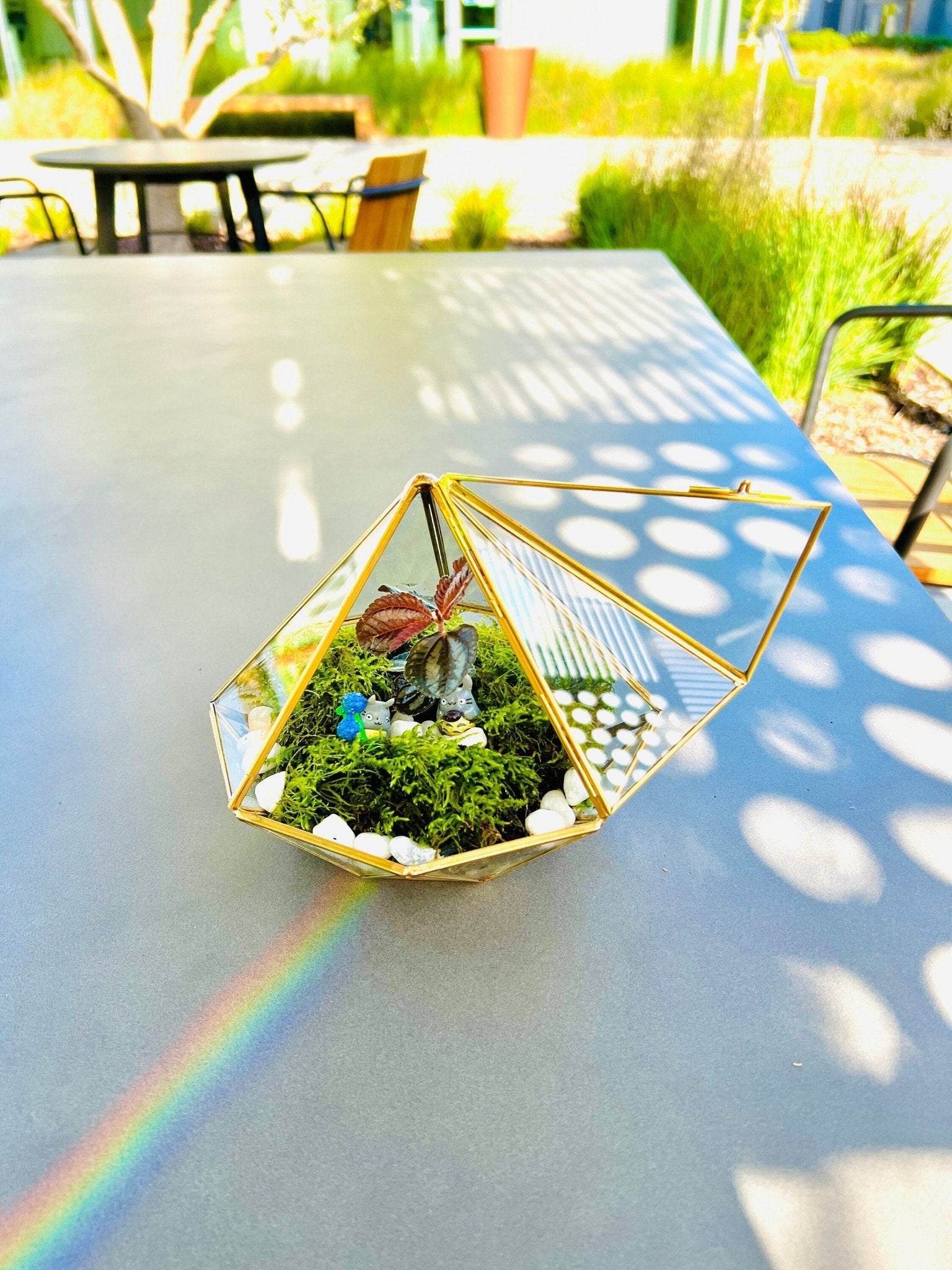 Geometric terrarium kit with tropical plants on a table in a nature-filled outdoor setting.